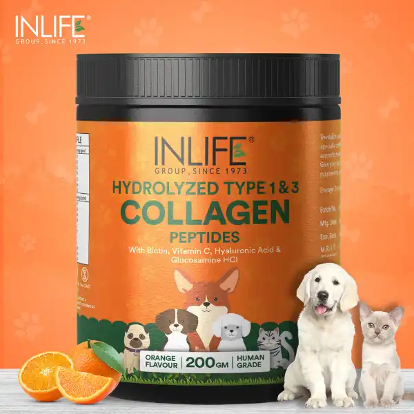 Collagen powder 2024 for dogs