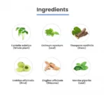 MediZen-009-1.webp