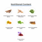 MediZen-016-1.webp