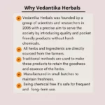 Vedantika-027-1.webp