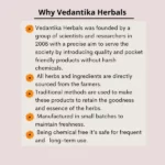 Vedantika-044-1.webp