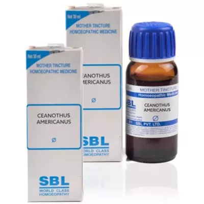 SBL Ceanothus Americanus 1X (Q) (30ml)