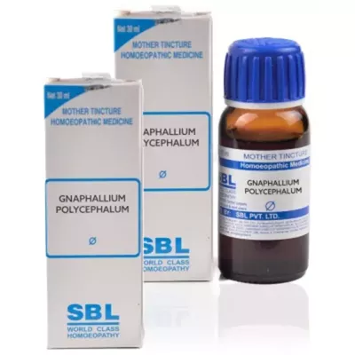SBL Gnaphallium Polycephalum 1X (Q) (30ml)