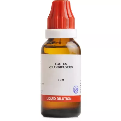 BJain Cactus Grandiflorus 10M CH (30ml)