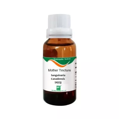 Bio India Sanguinaria Canadensis 1X (Q) (30ml)
