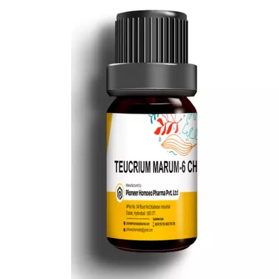 Pioneer Teucrium Marum (Multidose) 6 CH (150Pills)