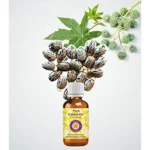 Herbkart8t761dOuewMDaL.webp