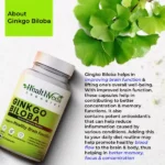 GinkgoBiloba-60Cap-1.webp