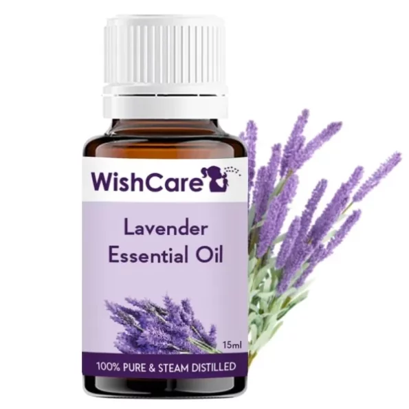 WishCare Lavender Essential Oil for Healthy Hair, Skin, Sleep - 100% Pure, Natural and Undiluted - 15ML available on Herbkart