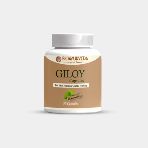 BIOAYURVEDA Giloy Capsule Strengthens Immunity Wellness, Guduchi, 30 Capsules, Herbkart8t761waulPxv-L.webp, Herbkart8t761waulPxv L