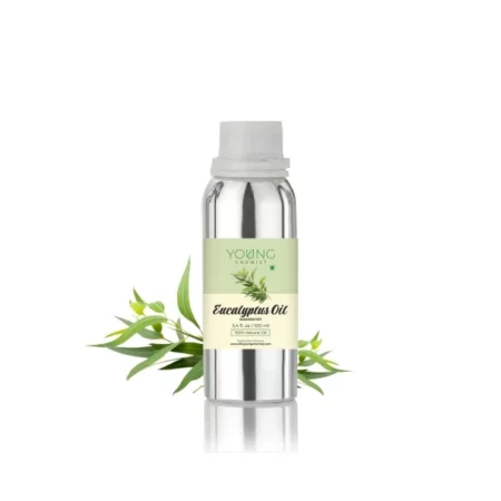 Young Chemist Eucalyptus Essential Oil - 100ml | 100% Pure Oil for Enhanced Breathing, Relaxation & Mental Clarity | Perfect for Spa, Home Care & Therapeutic Use