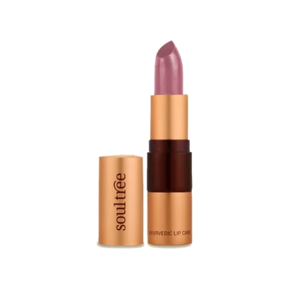 SoulTree Ayurvedic Lipstick - Massive Mauve 605, 4gm, Herbkart8t751ioyvI0KYL.webp, Herbkart8t751ioyvI0KYL