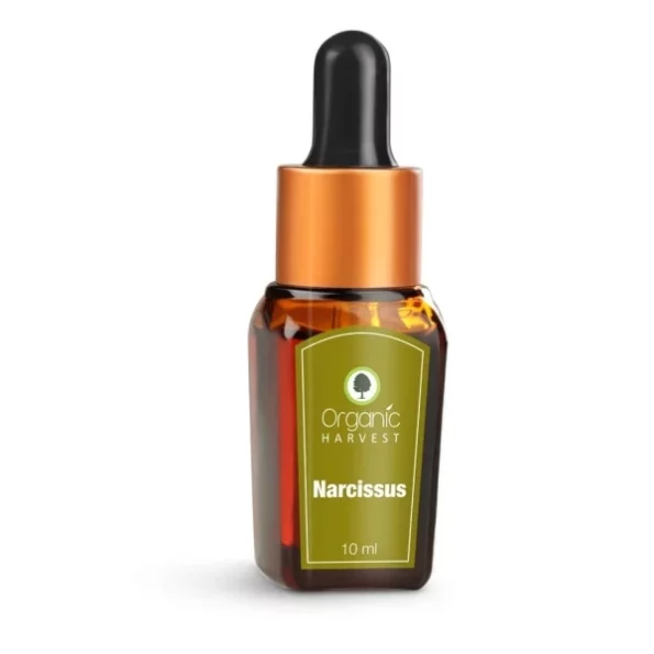 Organic Harvest Narcissus Essential Oil, 10 ml, Herbkart8t7511Wv8bmxYL.webp,