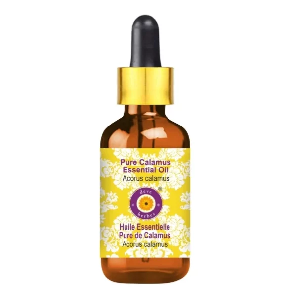 Deve Herbes Pure Calamus Essential Oil (Acorus calamus) With Glass Dropper Steam Distilled 15ml, Herbkart8t761andahvrNL.webp, Herbkart8t761andahvrNL