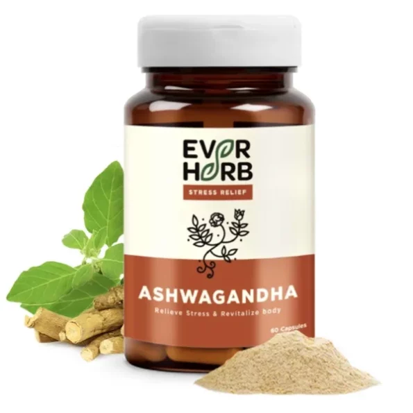 EverHerb Ashwagandha (500 mg) - 60 capsules Extra strength Natural Formulation, Herbkart8t761lJ7XubQhL.webp, Herbkart8t761lJ7XubQhL