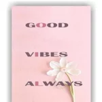 Herbkart8t761ZSjOOXY6L.webp