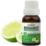 Herbkart8t761KWbI9NQwL.webp