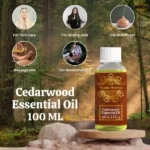 Herbkart8t7717qVR-yUWL.webp