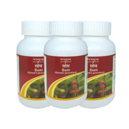 Tansukh Som Churna 60 gm - Pack of 1