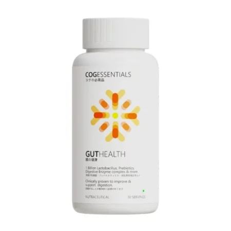 GutHealth: Powerful Gut Health Support - All-in-One Prebiotic & Probiotic for Digestive & Immune Support | 60 capsules