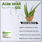 Herbkart8t751RPAVEX0mL.webp