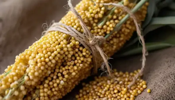 Types of Millets and their Nutritional Benefits, , pearl millet