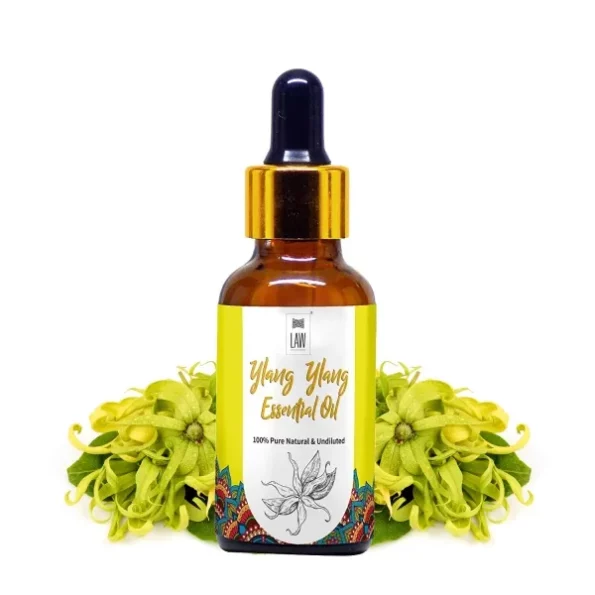 looms & weaves - 100% Pure, Natural & Undiluted Ylang Ylang Essential Oil - 100ML available on Herbkart