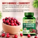 HO_Cranberry_D-Mannose-1.webp