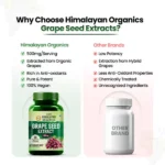 HO_Grapeseed_Extract-1.webp