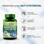 HO_Probiotics_50Billion-1.webp