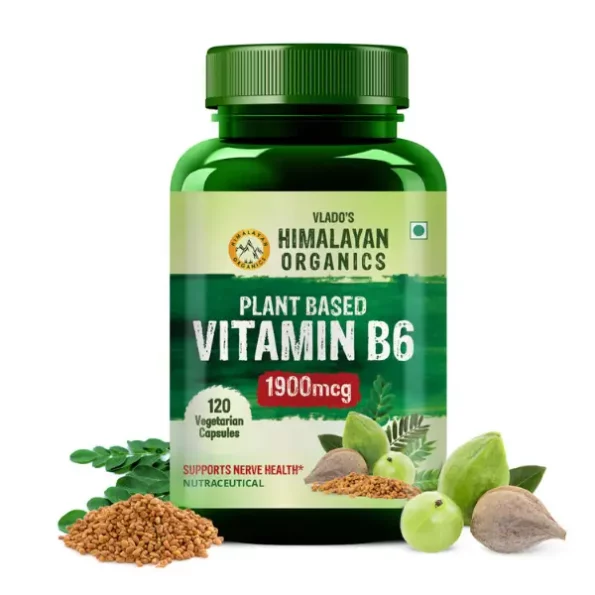 Vlado's Himalayan Organics Plant-Based Vitamin B6, Supports Immunity, Brain Health (120 Capsules) available on Herbkart