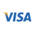 visa icon