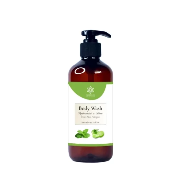 Natuur - Peppermint & Lime Aloe Body Wash - 300ml available on Herbkart