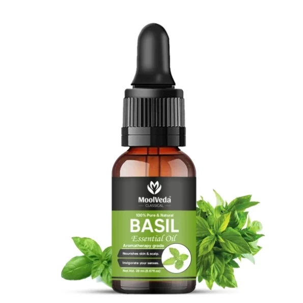 Moolveda 100% Natural & Therapeutic Grade Basil Essential Oil, 20ML, Herbkart8t771GDroDvozL.webp, Herbkart8t771GDroDvozL