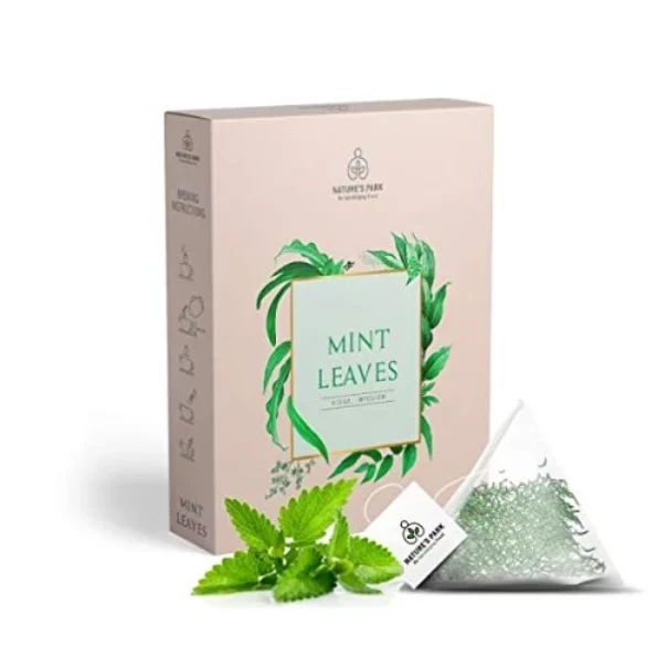 Nature's Park Refreshing and Soothing Mint Leaves Herbal Infusion (Pyramid Infusion Bags - 5), Herbkart8t7419Y20VLfgPL.webp, Herbkart8t7419Y20VLfgPL