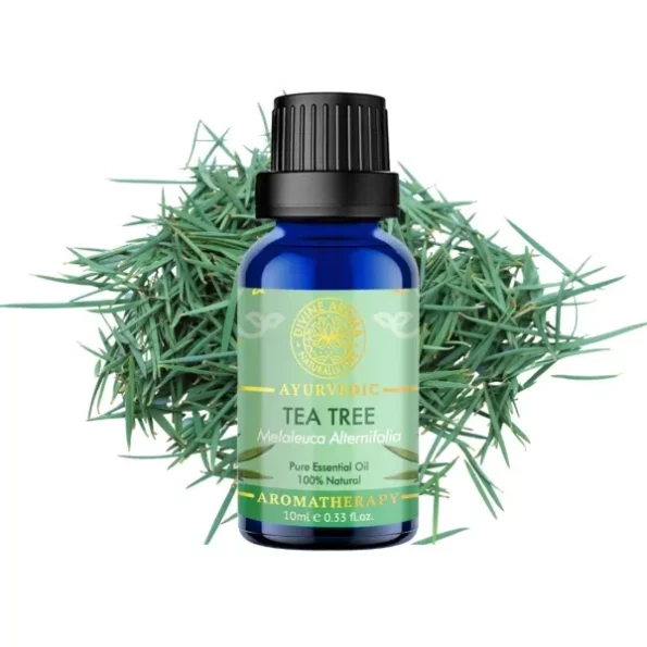 Divine Aroma Tea Tree Oil 100% PURE & Natural Essential Oil available on Herbkart