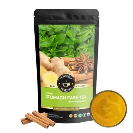 TEACURRY Digestion Spearmint Tea-15 Tea Bags|Helps With Reduces Constipation, Indigestion|Healthy Digestion Tea|100% Natural|Stomach Ease Tea,50 Grams