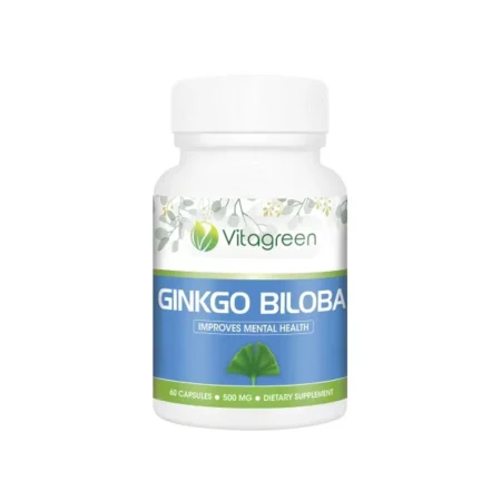 GINKG BILOBA | HEALTH SUPPLEMENT VitaGreen 100% Natural Healthy Brain Functions Ginkgo Biloba Capsules(60 capsules, 500mg) - Pack of 1