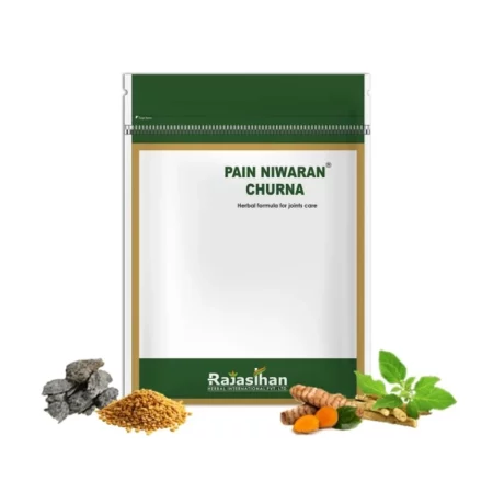 Rajasthan Aushdhalaya Pain Niwaran Churna, 100g