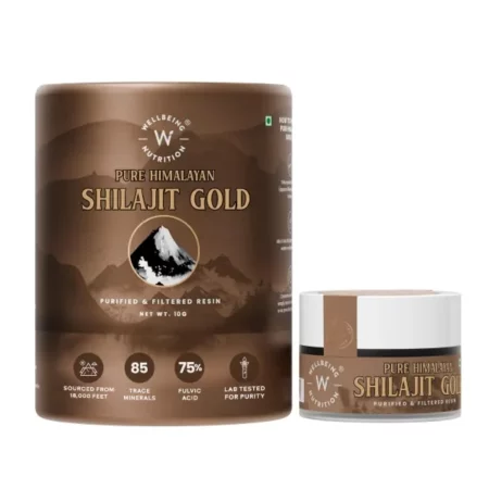 Wellbeing Nutrition Shilajit Gold Resin, 10g