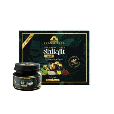 Pransutraa Shilajit Gold Resin, 20g