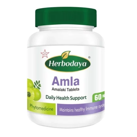 Herbodaya Amla Tablets, 60 Count
