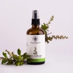 MorishBotanicalsMB-H-02-1.webp