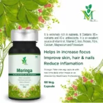MVMC1-1.webp