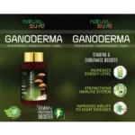 NS-Ganoderma-1x60Cap-1.webp