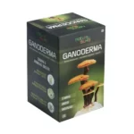 NS-Ganoderma-2x60Cap-1.webp