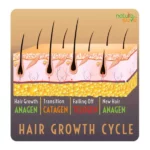 NS-Thumba-Hair-Oil-1x110ml-1.webp