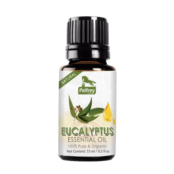 Eucalyptus-1.webp
