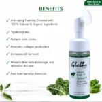Globusn000020-1.webp