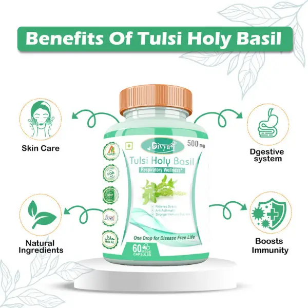 Jeevan Care Ayurveda Tulsi Holy Basil Fights Allergies Any Flu